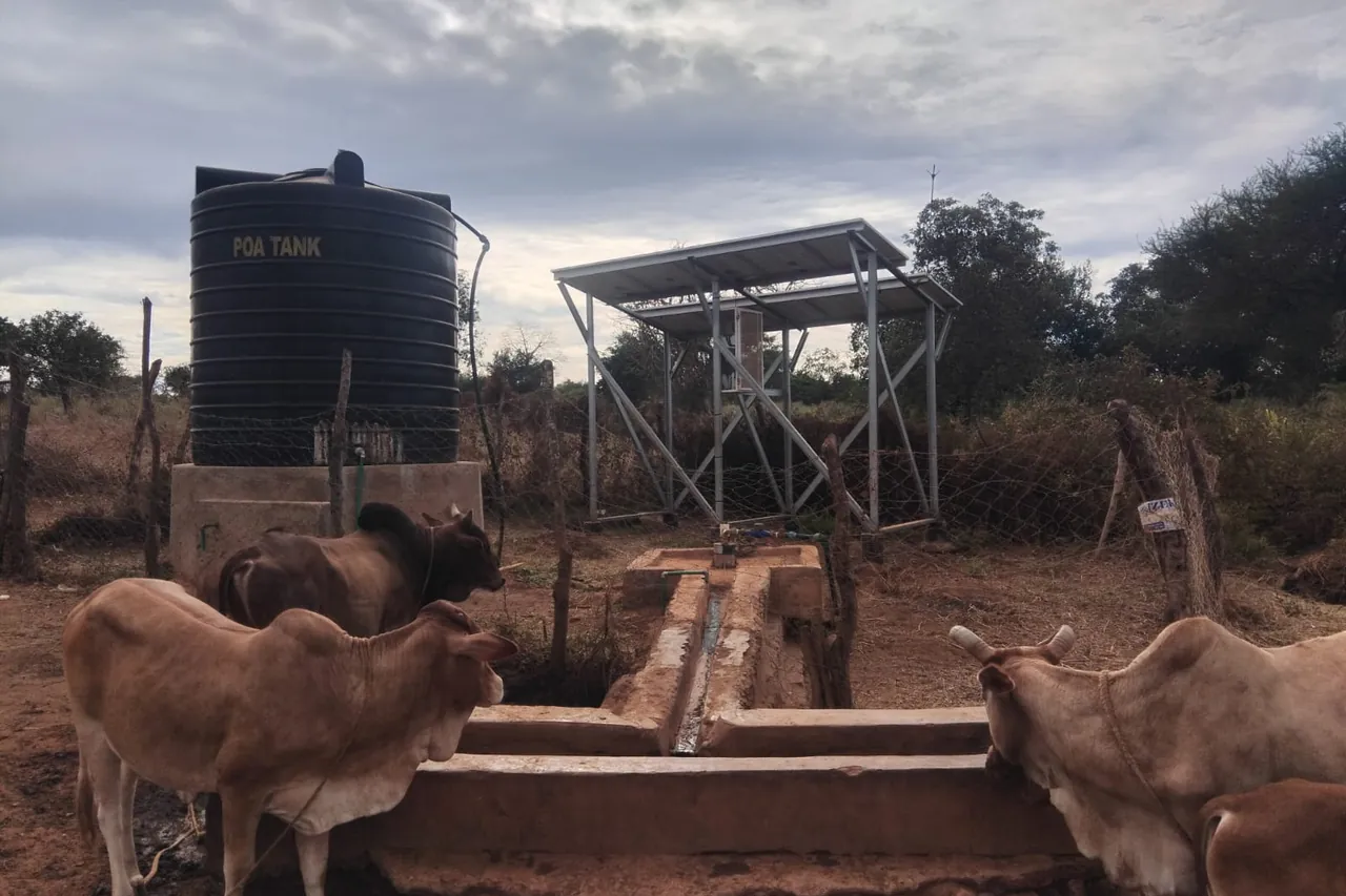 Solar-powered borehole supplying a livestock watering point